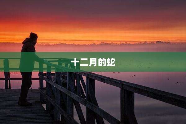 十二月的蛇