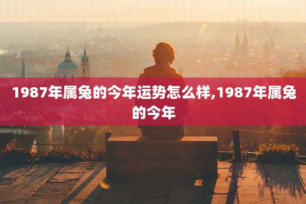 1987年属兔的今年运势怎么样,1987年属兔的今年