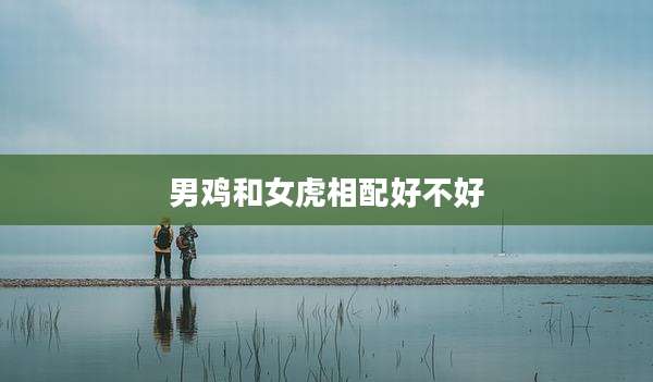 男鸡和女虎相配好不好