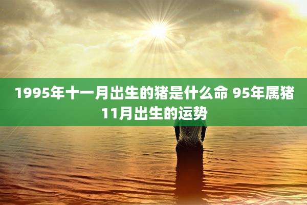 1995年十一月出生的猪是什么命 95年属猪11月出生的运势