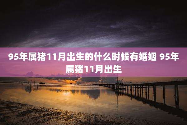 95年属猪11月出生的什么时候有婚姻 95年属猪11月出生