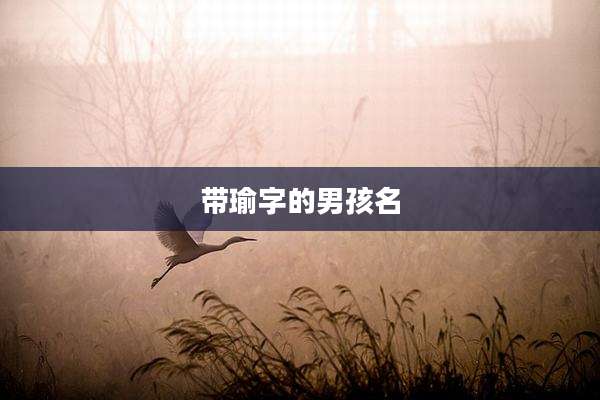 带瑜字的男孩名