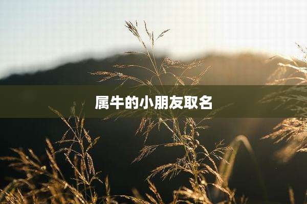 属牛的小朋友取名