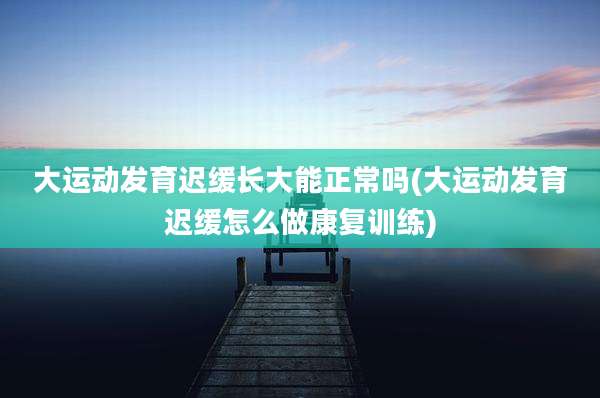 大运动发育迟缓长大能正常吗(大运动发育迟缓怎么做康复训练)