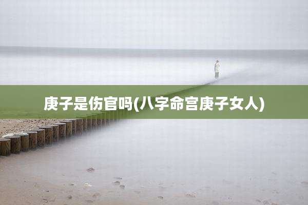 庚子是伤官吗(八字命宫庚子女人)