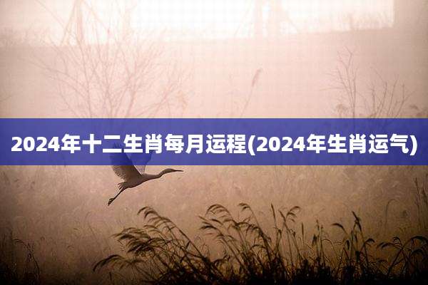 2024年十二生肖每月运程(2024年生肖运气)