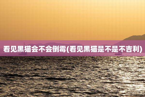 看见黑猫会不会倒霉(看见黑猫是不是不吉利)