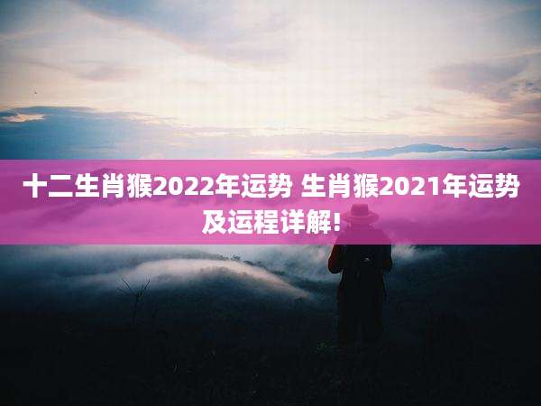 十二生肖猴2022年运势 生肖猴2021年运势及运程详解!
