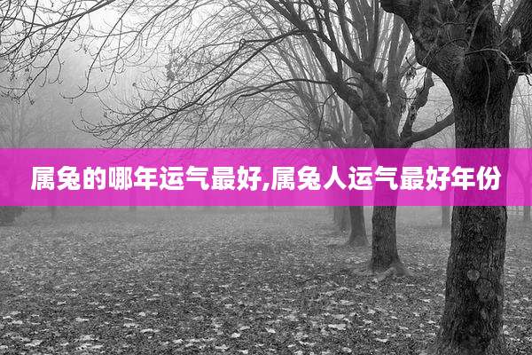 属兔的哪年运气最好,属兔人运气最好年份