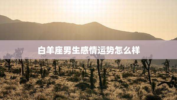 白羊座男生感情运势怎么样