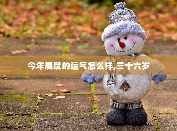 今年属鼠的运气怎么样,三十六岁