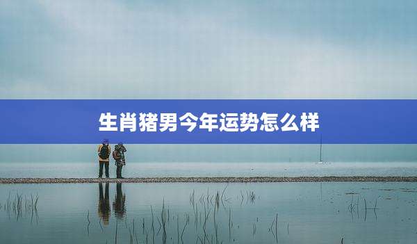 生肖猪男今年运势怎么样