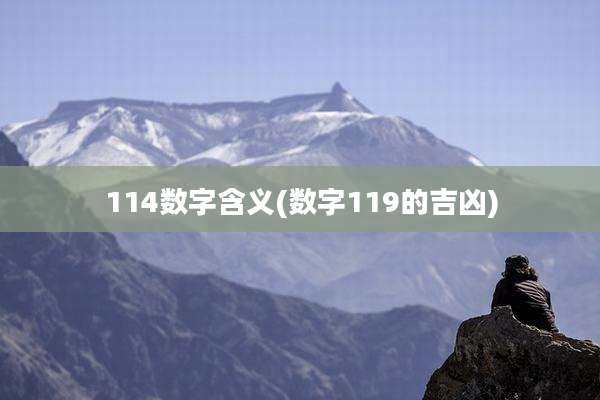114数字含义(数字119的吉凶)