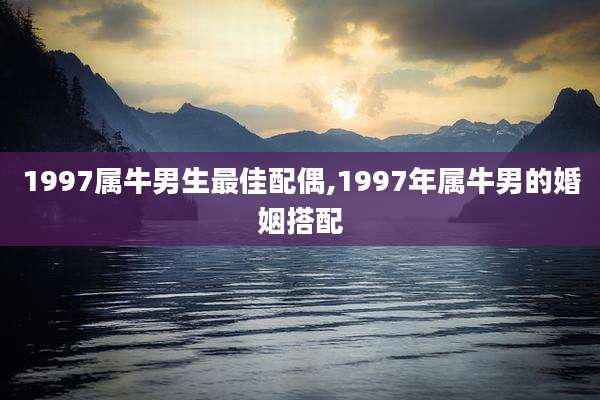 1997属牛男生最佳配偶,1997年属牛男的婚姻搭配