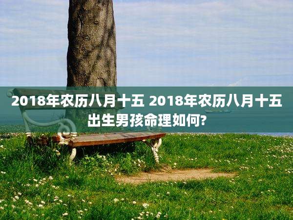 2018年农历八月十五 2018年农历八月十五出生男孩命理如何?