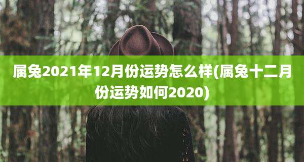 属兔2021年12月份运势怎么样(属兔十二月份运势如何2020)