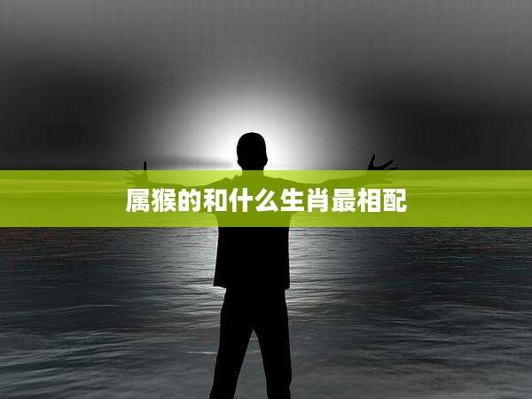 属猴的和什么生肖最相配
