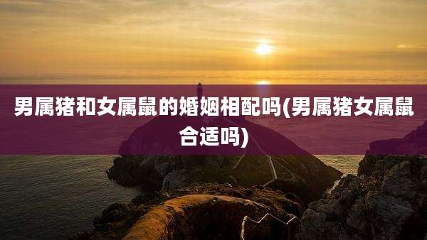男属猪和女属鼠的婚姻相配吗(男属猪女属鼠合适吗)