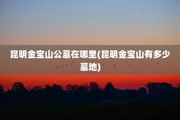 昆明金宝山公墓在哪里(昆明金宝山有多少墓地)