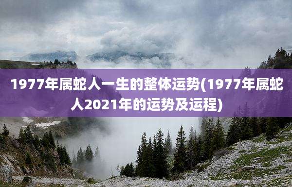 1977年属蛇人一生的整体运势(1977年属蛇人2021年的运势及运程)