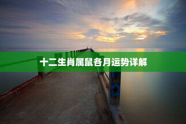 十二生肖属鼠各月运势详解