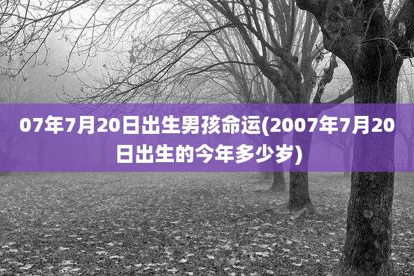 07年7月20日出生男孩命运(2007年7月20日出生的今年多少岁)