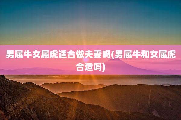 男属牛女属虎适合做夫妻吗(男属牛和女属虎合适吗)