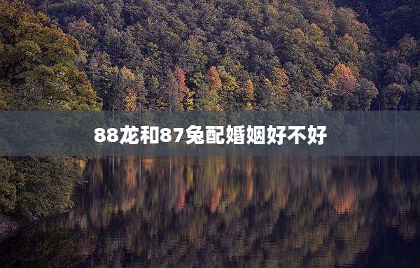 88龙和87兔配婚姻好不好