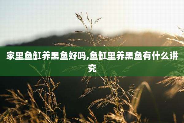 家里鱼缸养黑鱼好吗,鱼缸里养黑鱼有什么讲究
