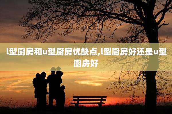 l型厨房和u型厨房优缺点,l型厨房好还是u型厨房好