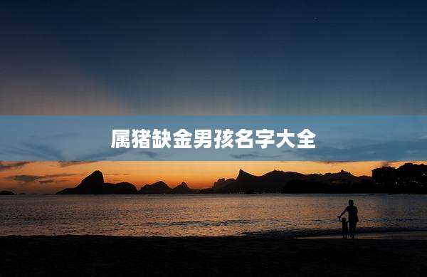 属猪缺金男孩名字大全