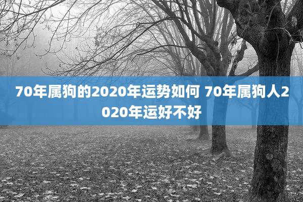 70年属狗的2020年运势如何 70年属狗人2020年运好不好