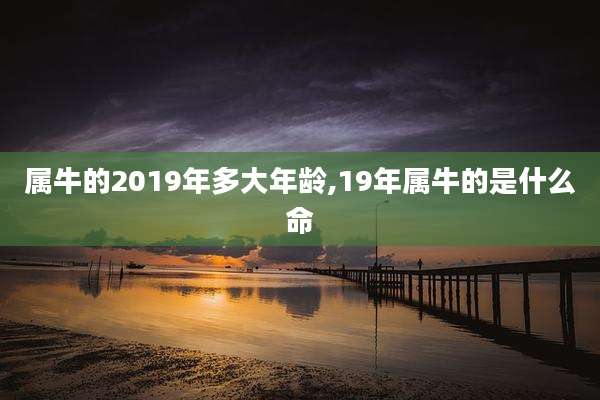 属牛的2019年多大年龄,19年属牛的是什么命