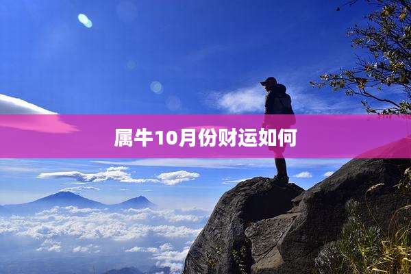 属牛10月份财运如何