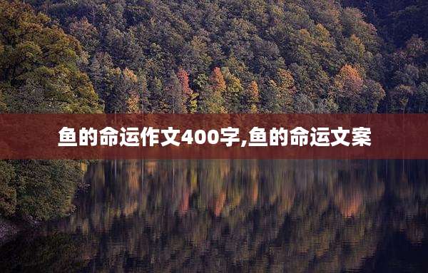 鱼的命运作文400字,鱼的命运文案