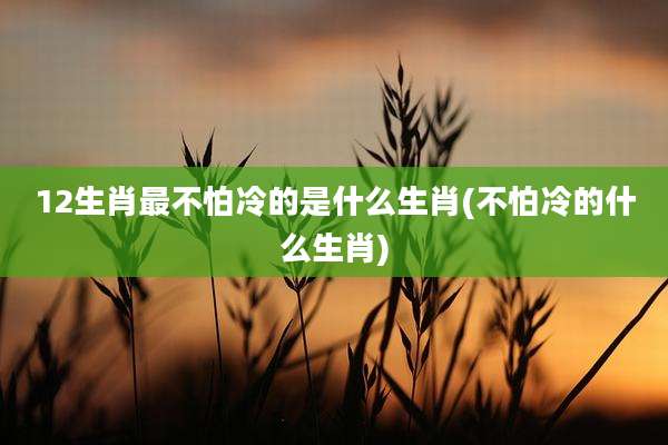 12生肖最不怕冷的是什么生肖(不怕冷的什么生肖)