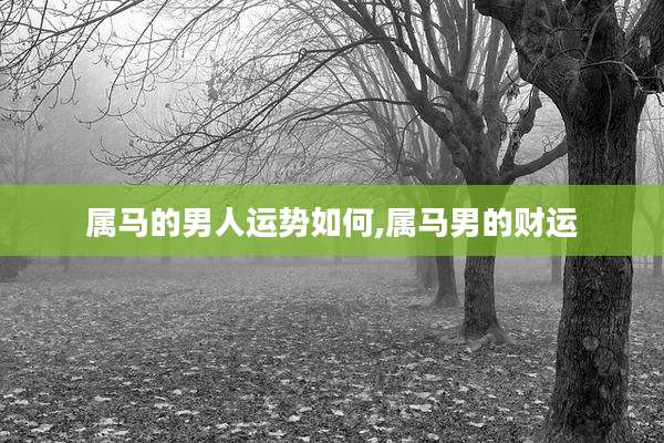 属马的男人运势如何,属马男的财运