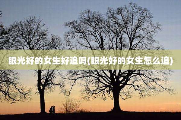眼光好的女生好追吗(眼光好的女生怎么追)
