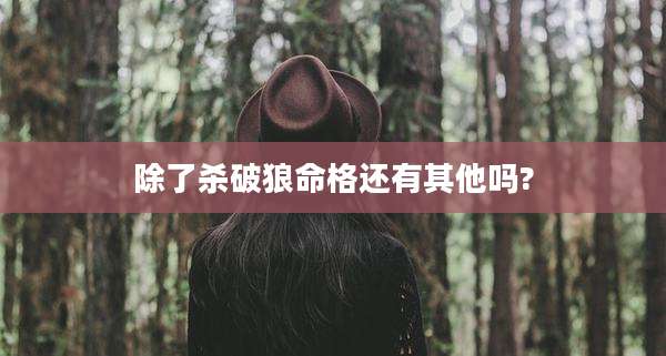 除了杀破狼命格还有其他吗?