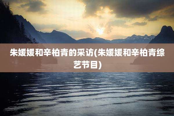 朱媛媛和辛柏青的采访(朱媛媛和辛柏青综艺节目)