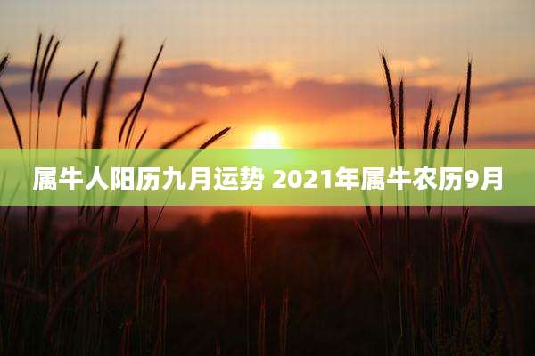 属牛人阳历九月运势 2021年属牛农历9月