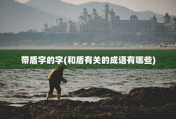 带盾字的字(和盾有关的成语有哪些)
