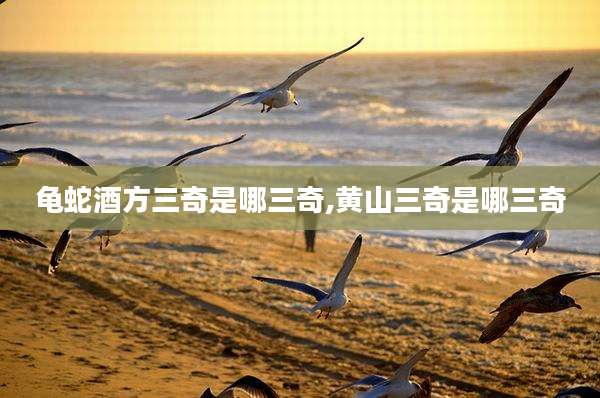 龟蛇酒方三奇是哪三奇,黄山三奇是哪三奇