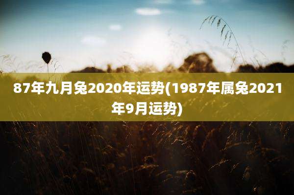 87年九月兔2020年运势(1987年属兔2021年9月运势)