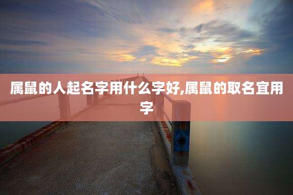 属鼠的人起名字用什么字好,属鼠的取名宜用字
