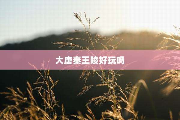大唐秦王陵好玩吗