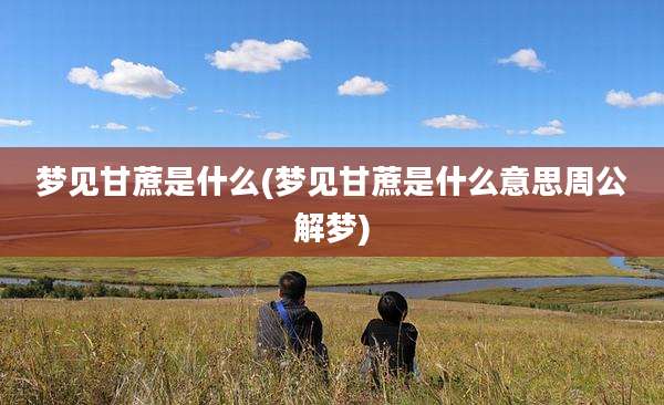 梦见甘蔗是什么(梦见甘蔗是什么意思周公解梦)