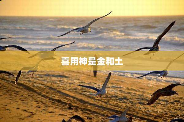 喜用神是金和土