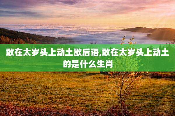 敢在太岁头上动土歇后语,敢在太岁头上动土的是什么生肖
