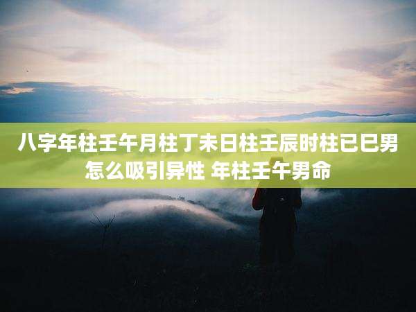 八字年柱壬午月柱丁未日柱壬辰时柱已巳男怎么吸引异性 年柱壬午男命